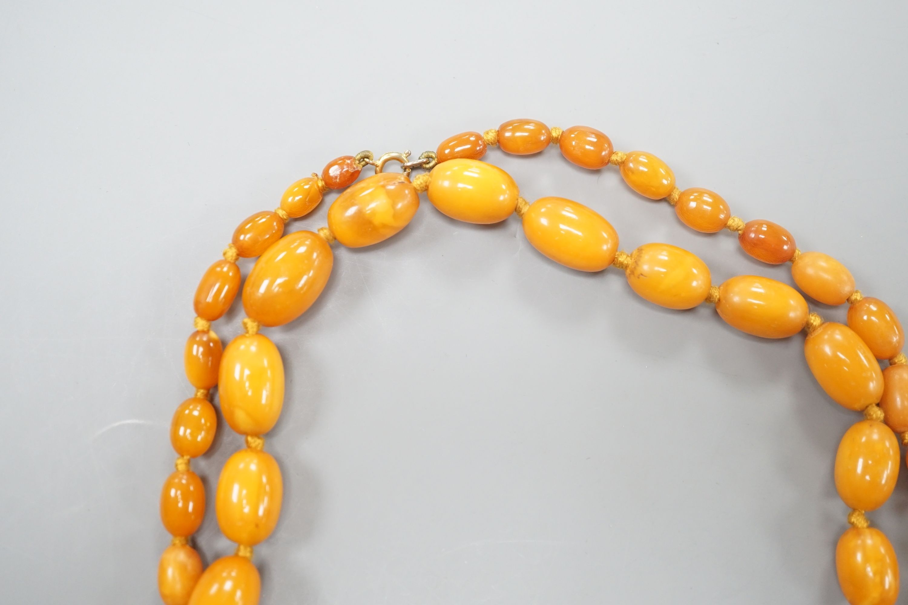 A single strand graduated oval amber bead necklace, 88cm, gross weight 50 grams.